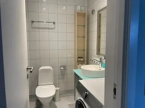 Dinbnb I Penthouse I Rooftop Terrace I Walk To Everything אוסלו